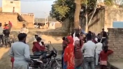 बिजनौर:नीम के पेड़ से मीठे तरल पदार्थ का निकलना बना कौतुहल का विषय