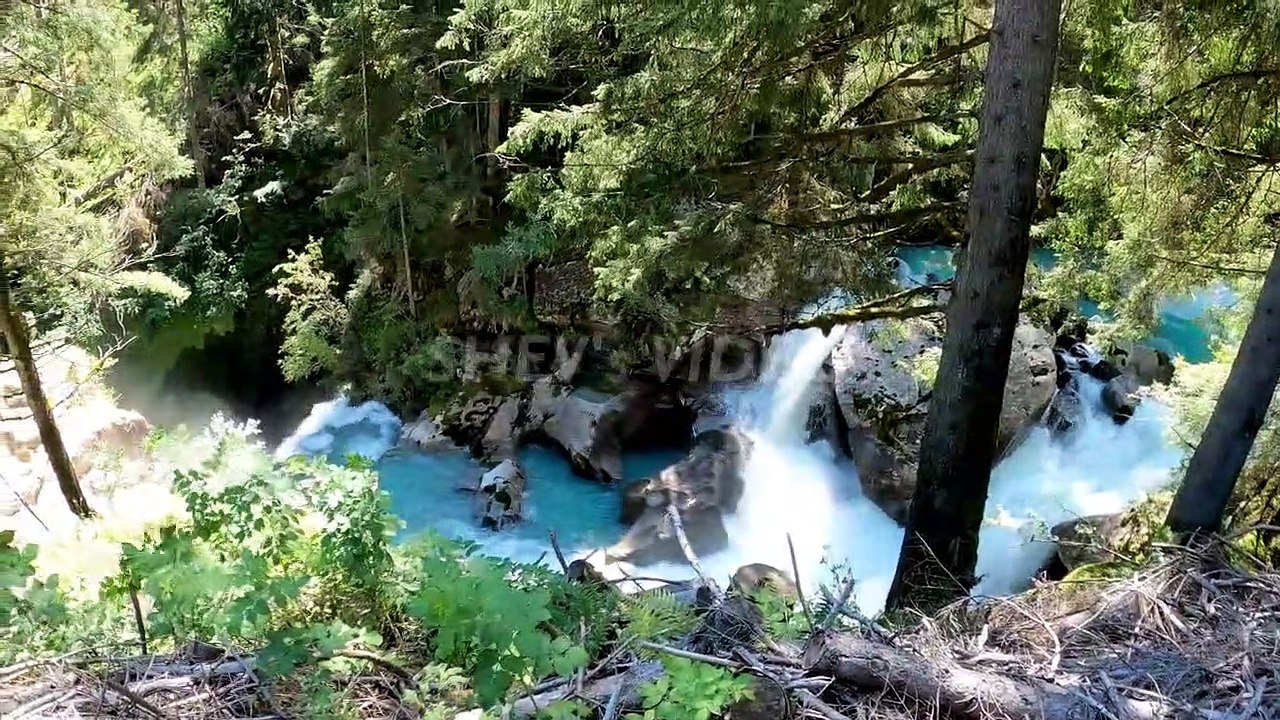 Masteran Ciblek Gunung Gacor Ngotot Full Ngebren VS Belalang Raja Nembak Rapat Jernih Jeda Suara Air