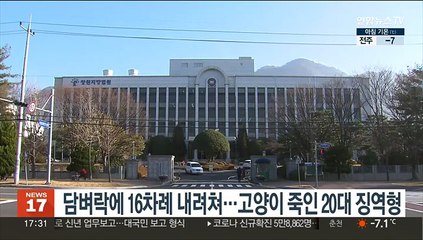 담벼락에 16차례 내려쳐…고양이 죽인 20대 징역형