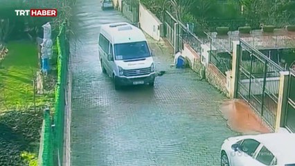 Köpeğe çarpıp yoluna devam etti