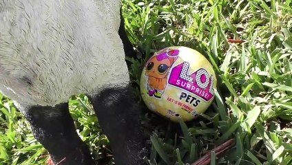Diana takes a walk with her Doll and finds LOL Surprises