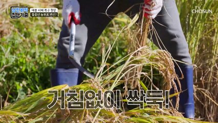 꽃중년들 일하는 모습을 그림으로 담아보는 허영만 TV CHOSUN 221218 방송