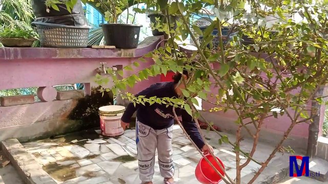 Kids Vlogs Comedy & Entertainment