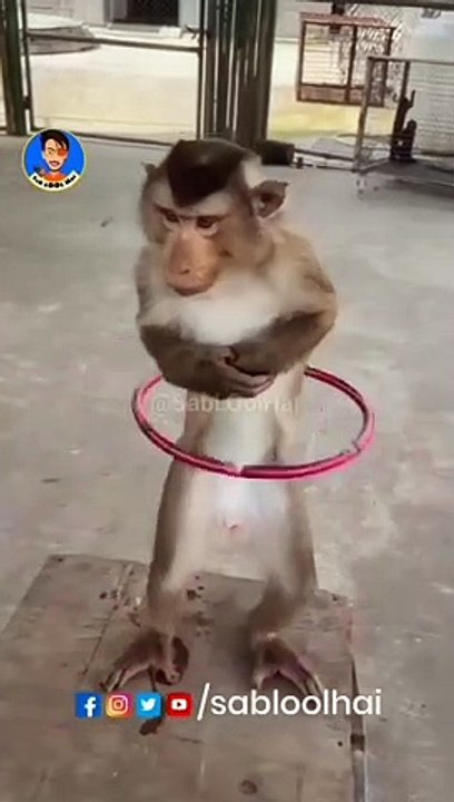 The bakwas tag, The bakwas motivational, The motivational video, Comedy video, Funny jokes video, Song, American comedy, Indian comedy, Comedy, Facebook statusWhatsApp WhatsApp, , All status Instagram status, Bhakti song, Comedian song, New musical song c