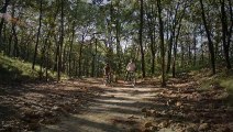 Sepasang - muda - mudi - sedang - bersepeda - ditengah - hutan - mixkit-couple-riding-bicycles-in-a-forest-44345-medium