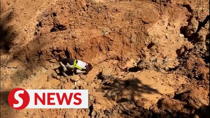 Download Video: Batang Kali landslide: Sniffer dogs in SAR op to be rotated after K9 unit's Blake burns out