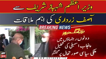 Asif Zardari meets PM Shehbaz Sharif in Lahore