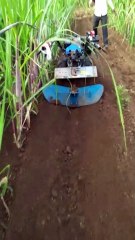 Power weeder with back rotry