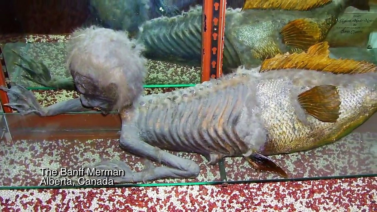 World's Most Unexplained - Se1 - Ep10 - Roadside Creature and Up in Flames HD Watch HD Deutsch