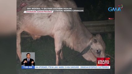 Driver at pasahero ng tricycle, sugatan matapos bumangga sa isang baka | UB