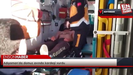 Adıyaman'da domuz avında kardeşi vurdu