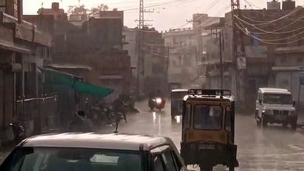 राजमार्गों पर वाहनों के बढ़ते हादसों को रोकेगी अब कॉउ बेल्ट