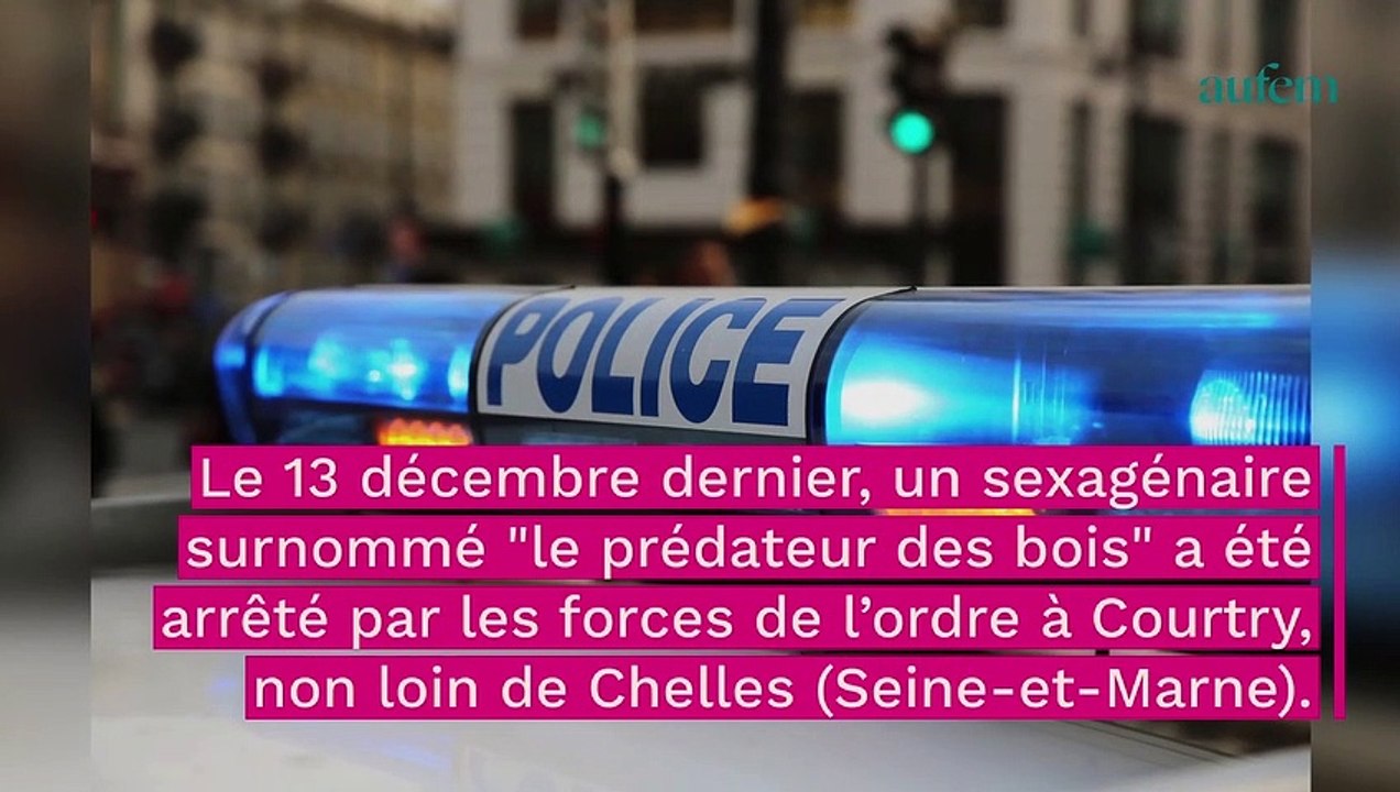 "Prédateur des bois" : un sexagénaire avoue être l’auteur de plusieurs viols et séquestrations