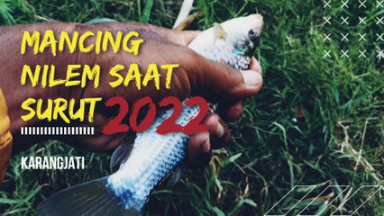 Mancing Nilem Saat Surut