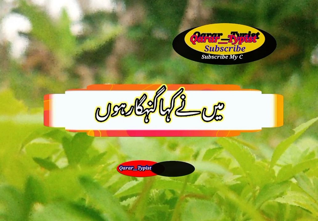 Mi ni kaha gunagar hoo |  میں نے کہا کنہگارہوں | qarar__typist