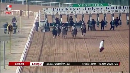 Adana'daki at yarışında feci kaza