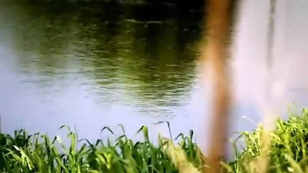 The Haunted - Morto Annegato [Documentario]