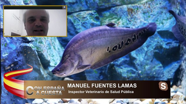 MANUEL FUENTES: Esta ley se carga el convenio CITES que regula el trafico de especies exoticas