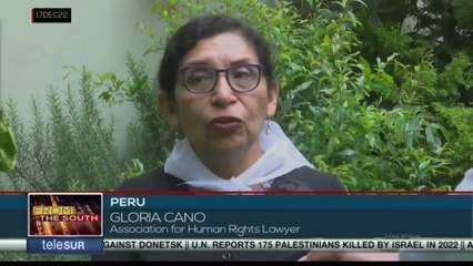 NGO will accuse Peruvian president for aggravated homicide in view of the twenty deaths registered in the country