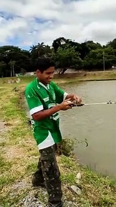 Pescador viraliza ao aparecer em vídeo onde "pesca" jacaré em lagoa; assista