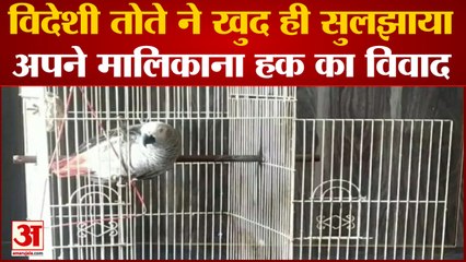 Agra: थाने में विदेशी तोते ने खुद ही सुलझाया अपने मालिकाना हक का विवाद