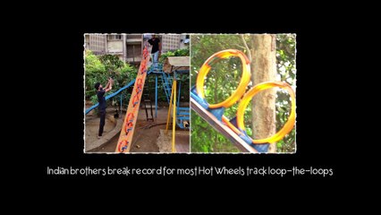 Little Anchor News (Incredible) Cat and dog ride scooter together breaking world record