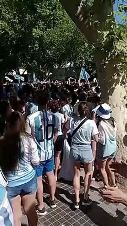 Festejos argentina campeón