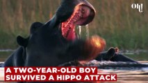 Hippo attacks 2-year-old boy and spits him out alive