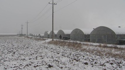 한파로 국립공원 137개 탐방로 통제...여객선 8척 결항 / YTN