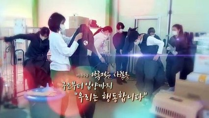 [미니다큐] 아름다운 사람들 - 242회 : 구조부터 입양까지, "우리는 행동합니다"