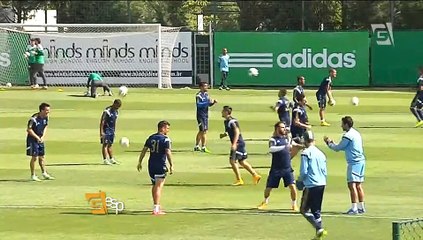 Palmeiras se reapresenta e se prepara para abertura da Arena