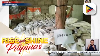 Nasa P360-M halaga ng mga endangered na taklobo o giant clam, nakumpiska sa Tabogon, Cebu