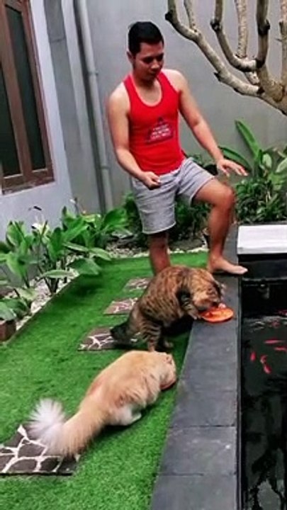 022 LUCU ABIS || Video Lucu Bikin Ngakak || Kelakuan Warga Bumi Bikin Sakit Perut||funny Comedy Videos