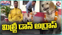 RPF Dog 'Don' Retired After Service Of 7 Years | Uttar Pradesh | V6 Weekend Teenmaar