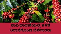 ಕೊಡಗು: ಇಂದಿನ ಕಾಫಿ ಧಾರಣೆ ಹೇಗಿದೆ ಗೊತ್ತಾ..?