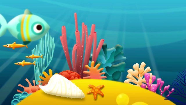 Marine Life Ultra 4k HD Video @8K VIDEOS ULTRA HD