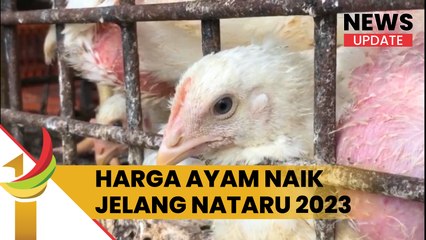 Jelang Natal dan Tahun Baru 2023, Harga Daging Ayam di Pasar Tradisional Mulai Merangkak Naik