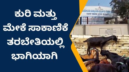 ಕಲಬುರಗಿ: ಡಿ.28 ರಂದು ರೈತರಿಗೆ ವೈಜ್ಞಾನಿಕ ಕುರಿ ಮತ್ತು ಮೇಕೆ ಸಾಕಾಣಿಕೆ ತರಬೇತಿ