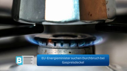 EU-Energieminister suchen Durchbruch bei Gaspreisdeckel