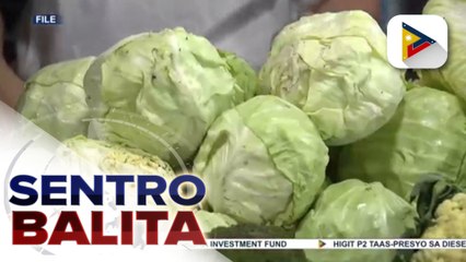 Dept. of Agriculture, iginiit na makatutulong ang pagpapalawig ng mababang taripa sa agricultural products para matugunan ang inflation