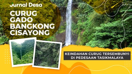 Menikmati Keindahan Curug Gado Bangkong di Tasikmalaya yang Masih Perawan