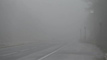 Bolu Dağı'nda sis ve sağanak etkili oluyor