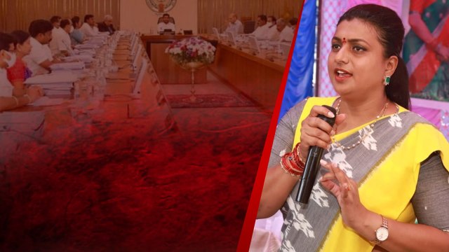 YCP కి ఎన్ని సీట్లొస్తాయో తేల్చేసిన మంత్రి రోజా *Politics | Telugu OneIndia