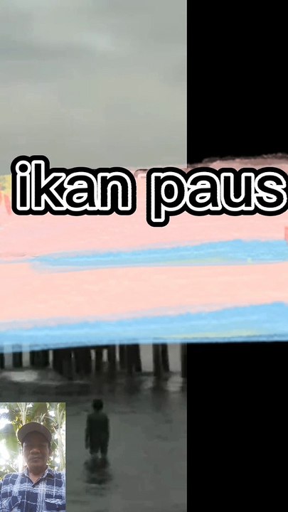 Ikan paus ngamuk
