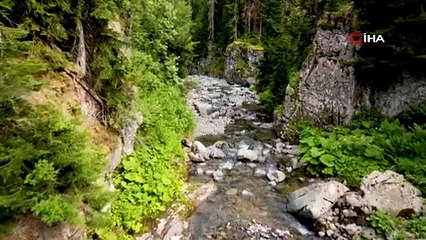 Türkiye'nin gizli cennetiydi! Ziyaretçi akınına uğruyor