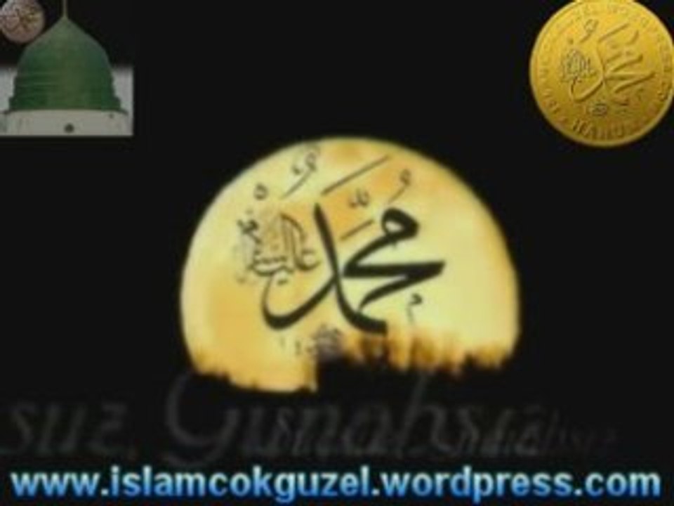 Kutlu Doğum Özel