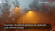 Diyarbakır'da etkisini gösteren sis nedeniyle uçak seferleri aksadı
