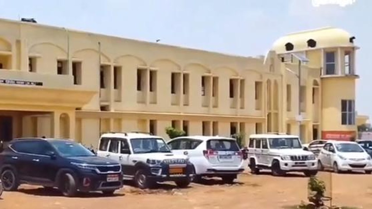 पन्ना: बाघ के हमले में दो भैंसों की मौत, क्षतिप...