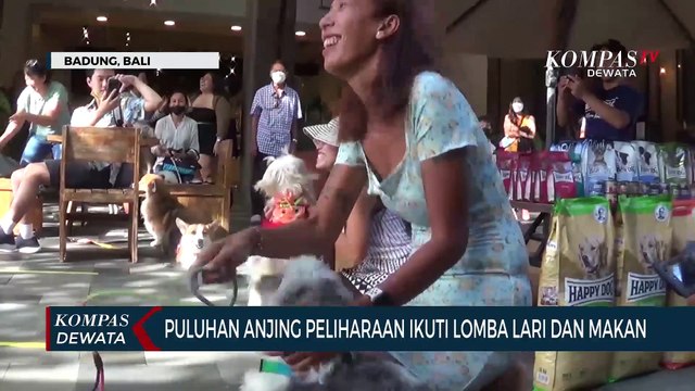 Puluhan Anjing Peliharaan Ikuti Lomba Lari & Makan