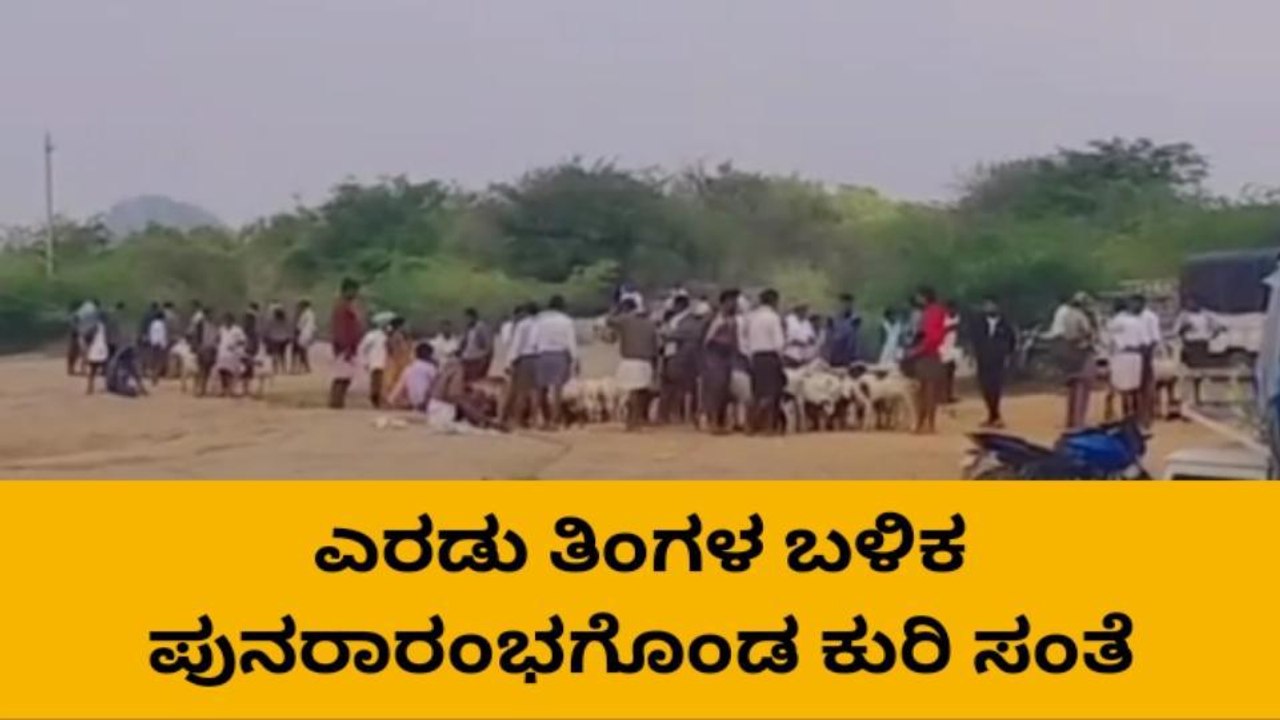 ಪಾವಗಡ: ಎರಡು ತಿಂಗಳುಗಳ ಬಳಿಕ ಪುನರಾರಂಭಗೊಂಡ ಕುರಿ ಸಂತೆ